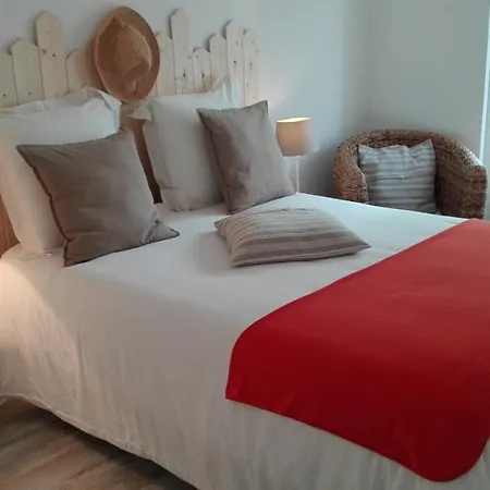 Appartement Chez Carca, Au Pied De La Cite Carcassonne